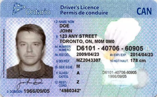 Buy Canadian driver's license online without test examination